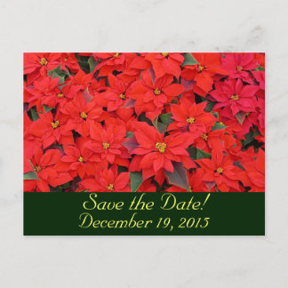 Postal De Anuncios Poinsettias Rojas Guarden la Fecha
