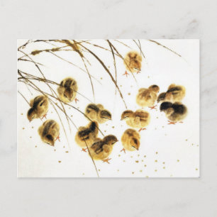 Postal De Anuncios Pollitos de recién nacido, arte chino clásico