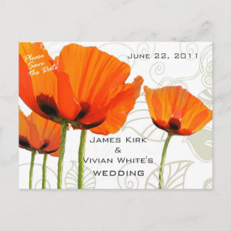 Postal De Anuncios Poppies Deco Shawn