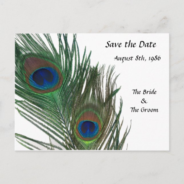 Postal De Anuncios Precioso pavo real blanco Save the Date (Anverso)