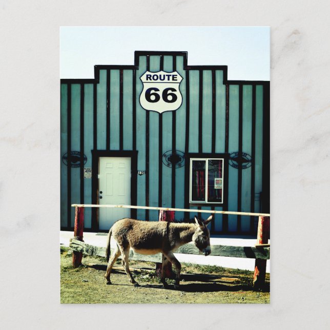 Postal De Anuncios Pueblo de Burros Oatman Arizona (Anverso)