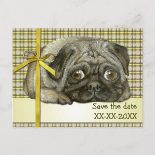 Postal De Anuncios Pug acogedor