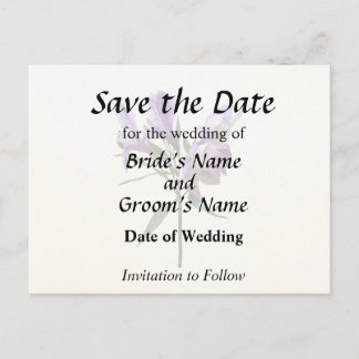 Postal De Anuncios Purple Peruvian Lily