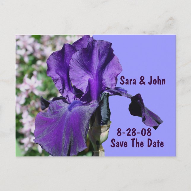 Postal De Anuncios Púrpura Flor de Iris Bodas Guardar la Fecha (Anverso)
