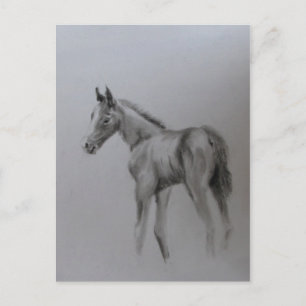 Postal De Anuncios Recién nacido