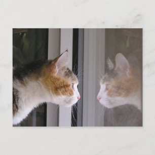 Postal De Anuncios Remiendos