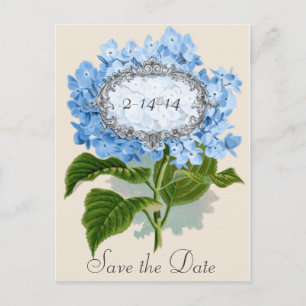 Postal De Anuncios Reserva azul del marco del Hydrangea del vintage
