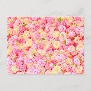 Postal De Anuncios Rosa