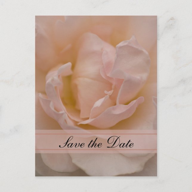 Postal De Anuncios Rosa Floral de Rosa Quinceañera Avisa la Fecha (Anverso)