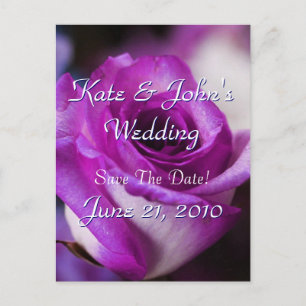 Postal De Anuncios Rosa morado