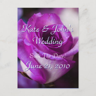 Postal De Anuncios Rosa morado