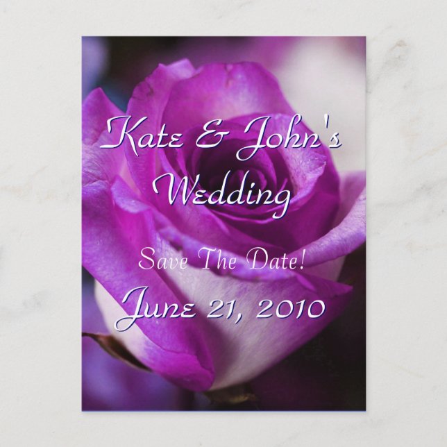 Postal De Anuncios Rosa Púrpura (Anverso)