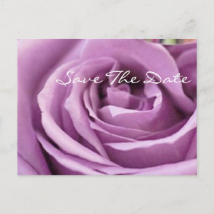 Postal De Anuncios rosa púrpura romántica  ducha de novia floral