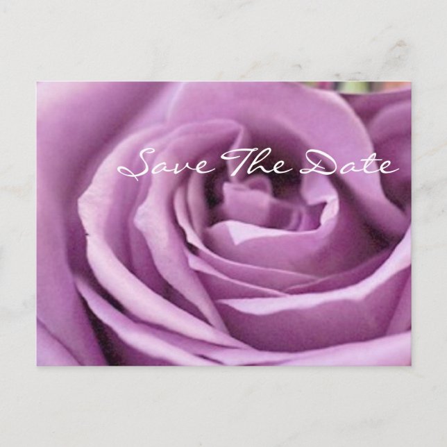 Postal De Anuncios rosa púrpura romántica  ducha de novia floral (Anverso)