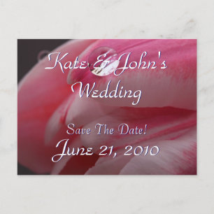 Postal De Anuncios Rosa rosa