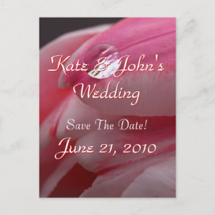 Postal De Anuncios Rosa rosa