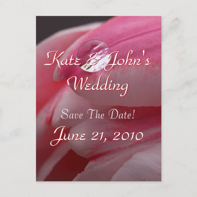 Postal De Anuncios Rosa rosa (Anverso)