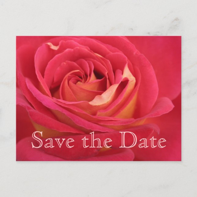 Postal De Anuncios Rosa Salva la celebración de cumpleaños número 65  (Anverso)