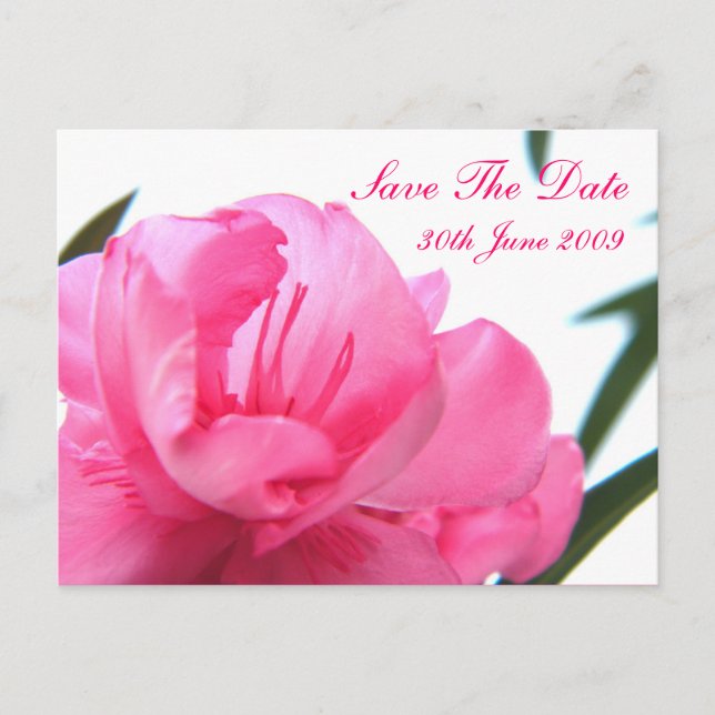 Postal De Anuncios Rosa Sonrojado - Salva la Fecha (Anverso)