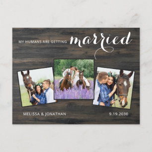 Postal De Anuncios Rústico 3 foto Boda Mascota de caballo salva la fe