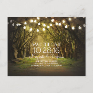 Postal De Anuncios Rutic String Lights Tree Path Save the Date
