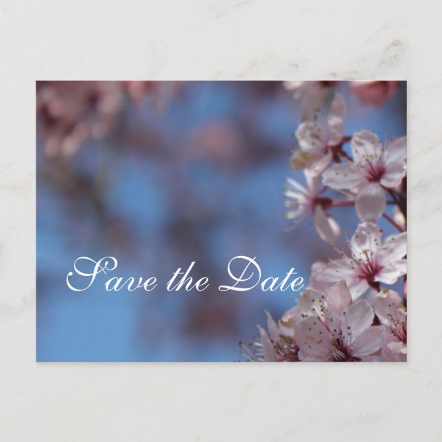 Postal De Anuncios salva la fecha, flor de cerezo (Anverso)