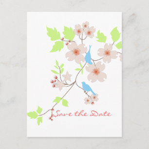 Postal De Anuncios Salvar a la fecha dos pájaros azules dogwoods