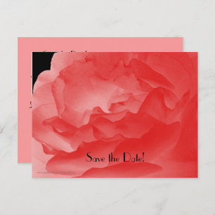 Postal De Anuncios Save the Date 90th Birthday Party, Rosa de Coral
