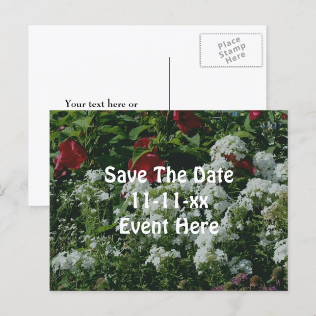 Postal De Anuncios Save The Date Hibiscus Phlox Flower Garden (Anverso / Reverso)
