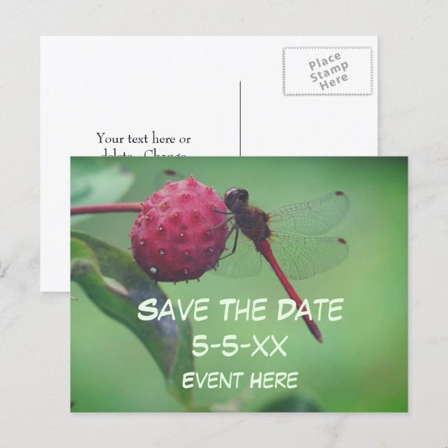Postal De Anuncios Save The Date Red Dragonfly Nature  (Anverso / Reverso)
