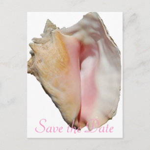 Postal De Anuncios Seashell Conch Beach Wedding