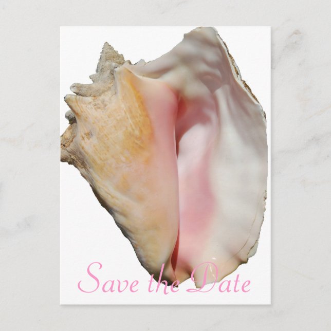 Postal De Anuncios Seashell Conch Beach Wedding (Anverso)