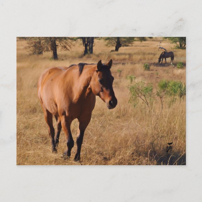 Postal De Anuncios seguir adelante (Anverso)