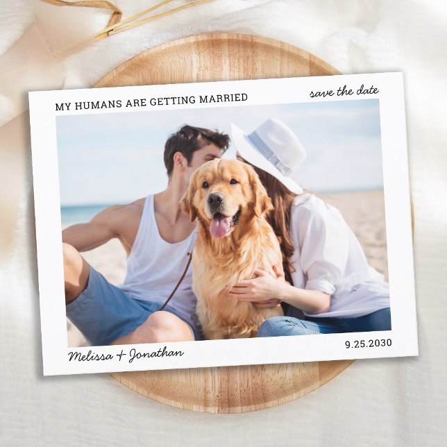 Postal De Anuncios Sencilla foto de Boda Mascota casada de mis seres  (Subido por el creador)