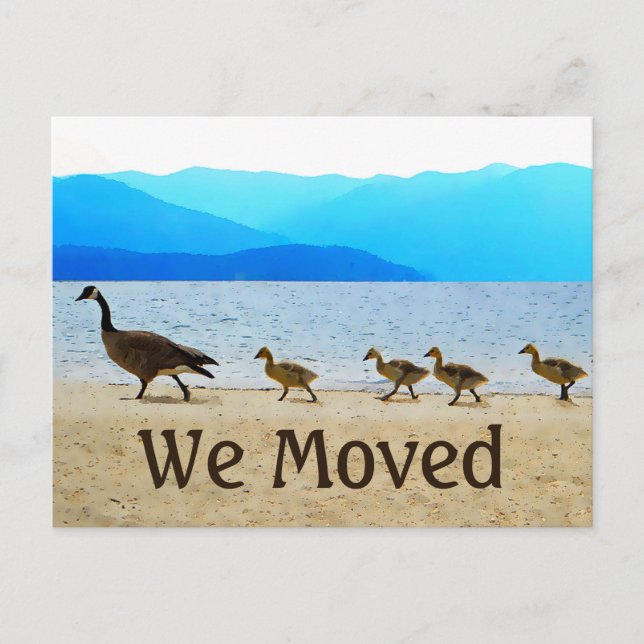 Postal De Anuncios Shore Patrol Canada Geese (Anverso)