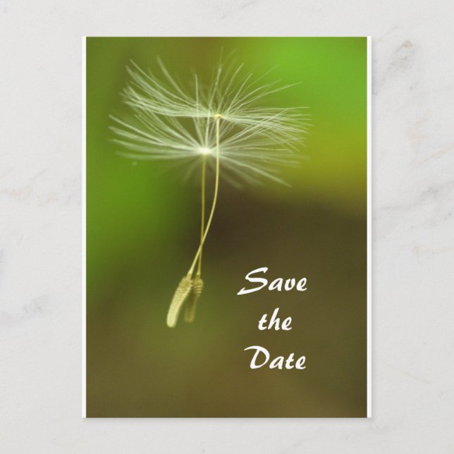 Postal De Anuncios Siéntete libre - Semilla de Dandelion voladora (Anverso)