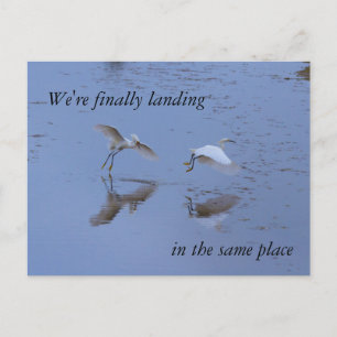 Postal De Anuncios Snowy Egret Heron mudándose juntos en nueva direcc