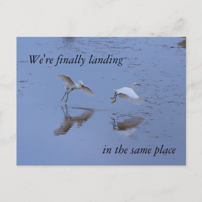 Postal De Anuncios Snowy Egret Heron mudándose juntos en nueva direcc (Anverso)