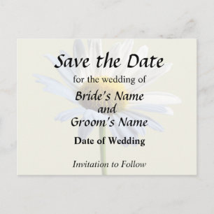 Postal De Anuncios Suministros de Boda Daisy Shadow y Luz