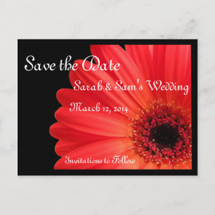 Postal De Anuncios Tema Gerbera Daisy Guardar la Fecha