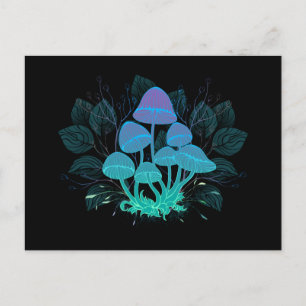 Postal De Anuncios Toadstools en Bushes