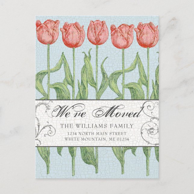 Postal De Anuncios Tulipán floral rosa vintage en movimiento (Anverso)