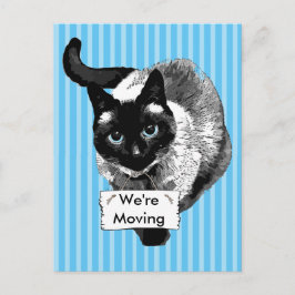 Postal De Anuncios Un gato siamés de ojos azules sostiene "estamos mo