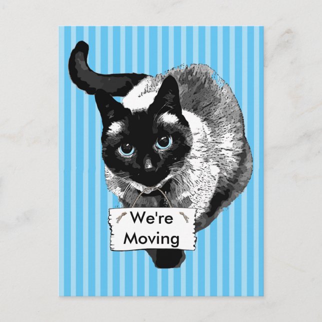 Postal De Anuncios Un gato siamés de ojos azules sostiene "estamos mo (Anverso)