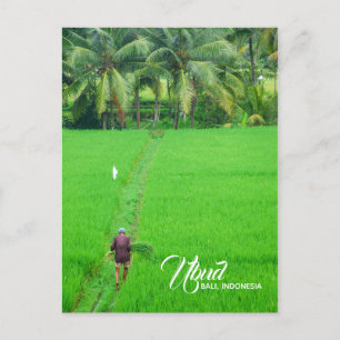 Postal De Anuncios Un granjero en un campo del arroz en Ubud, Bali,