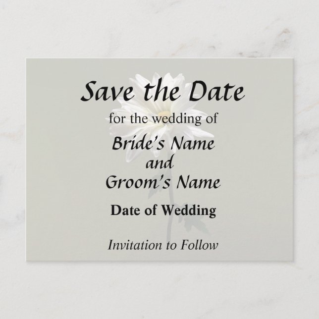 Postal De Anuncios Una margarita blanca (Anverso)