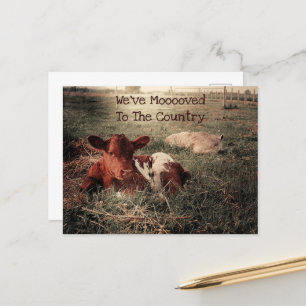 Postal De Anuncios Vaca Divertida Granja País Rústico Mudanza