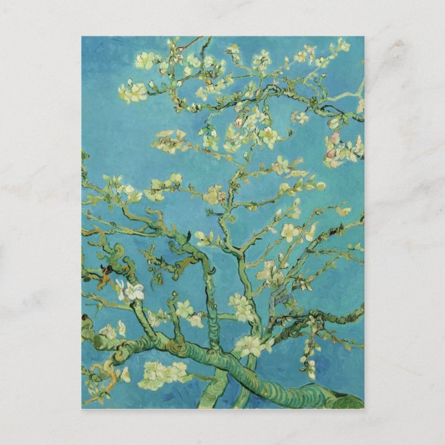 Postal De Anuncios Van Gogh | Almond Blossom | Nueva dirección (Anverso)