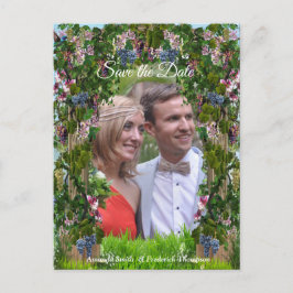 Postal De Anuncios Vides de uva, madreselvas y colibríes