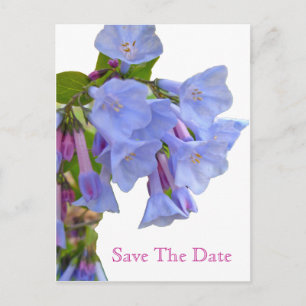 Postal De Anuncios Virginia Bluebells Guarde la Fecha